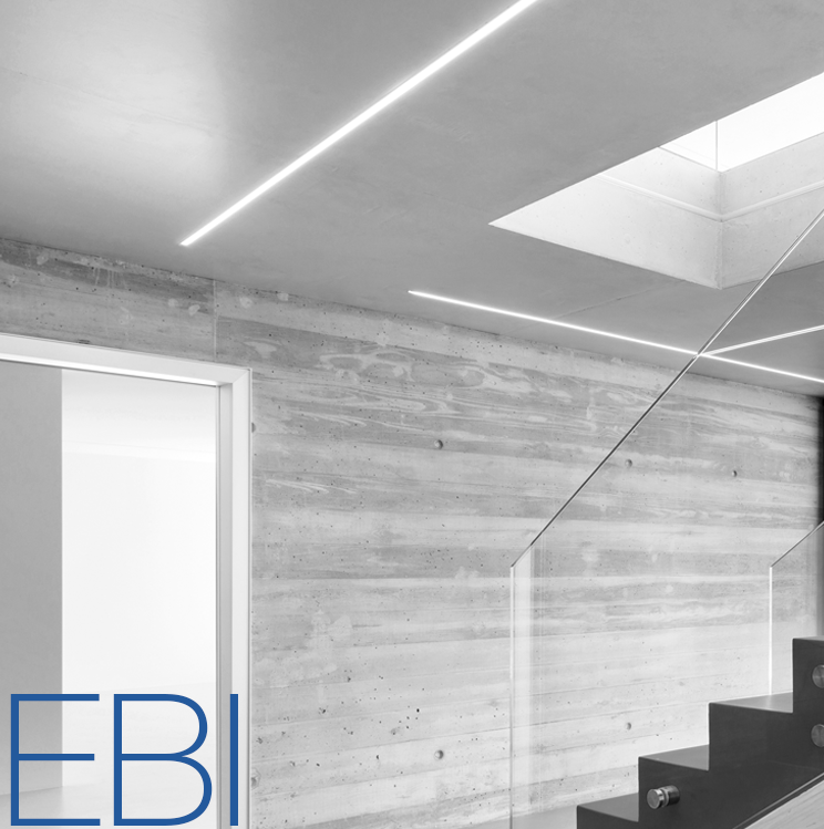 ebi